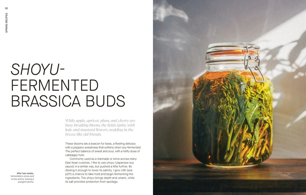 A Year of Fermentation - Image 2