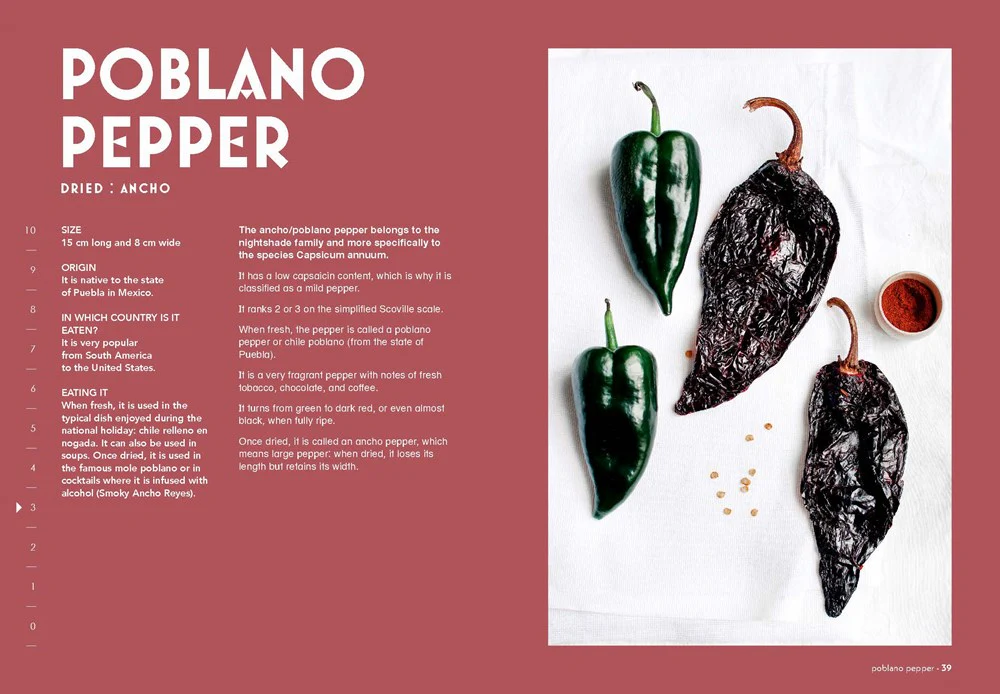 Chillies - Image 2