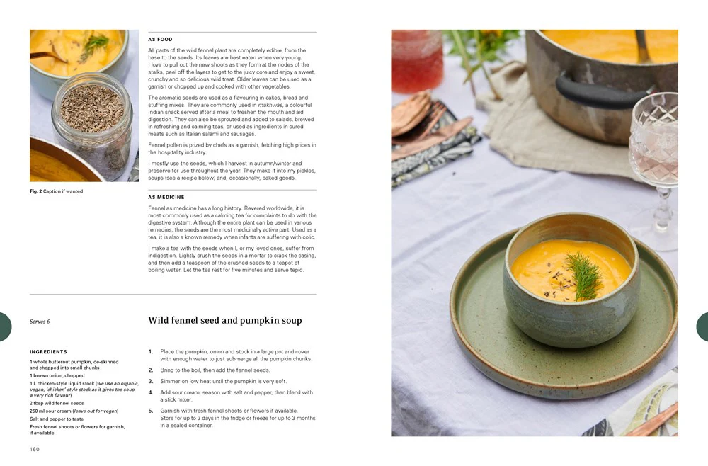 Eat Weeds : A Field Guide to Foraging - Image 4