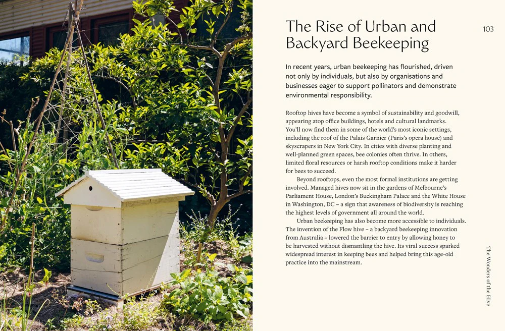 Honeybees - Image 3