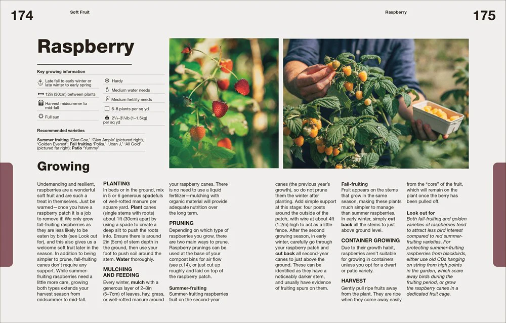 How to Grow Food - Image 4