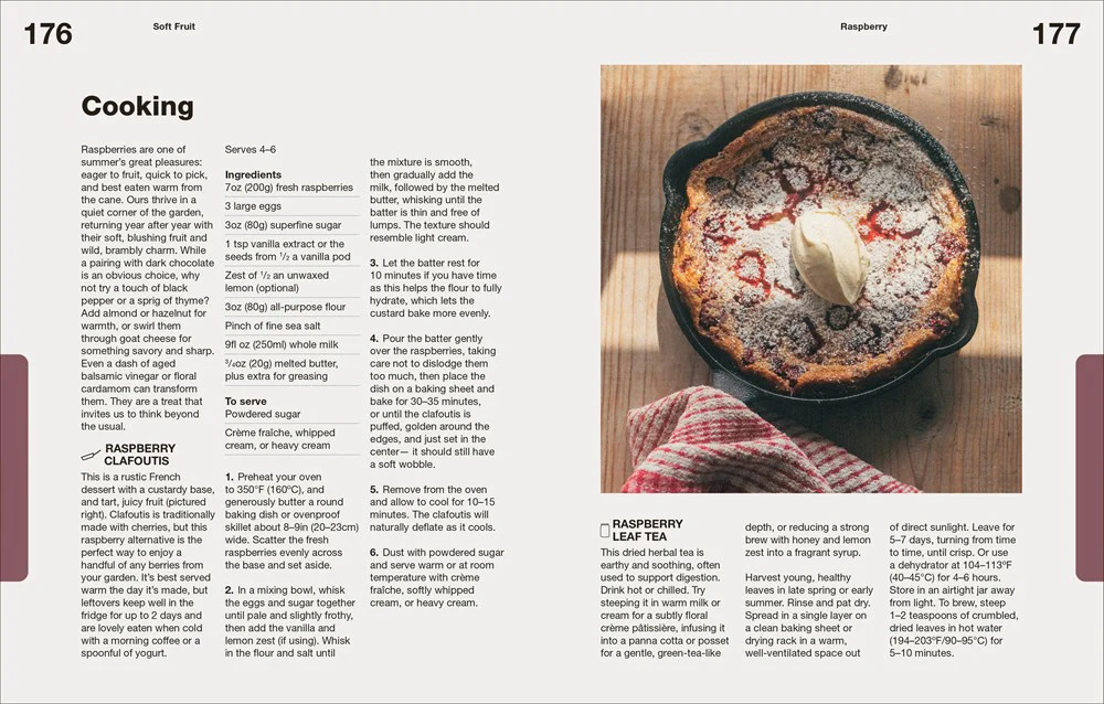 How to Grow Food - Image 5