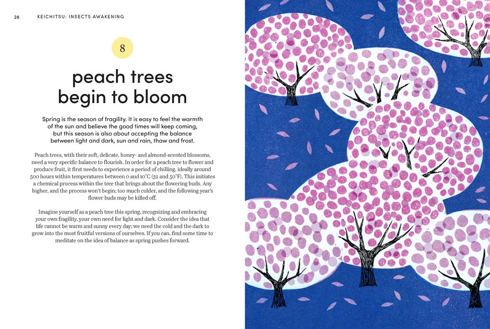 Microseasons - Image 2