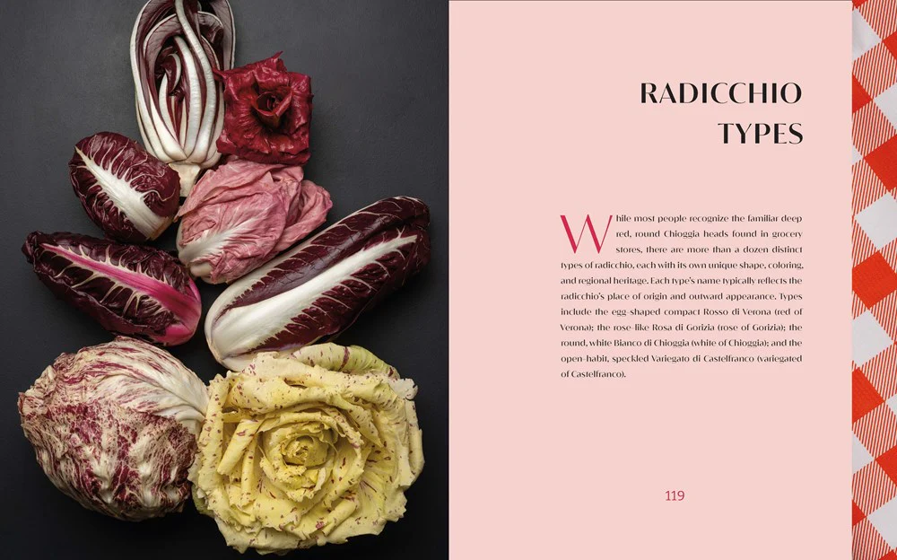 Radicchio - Image 2