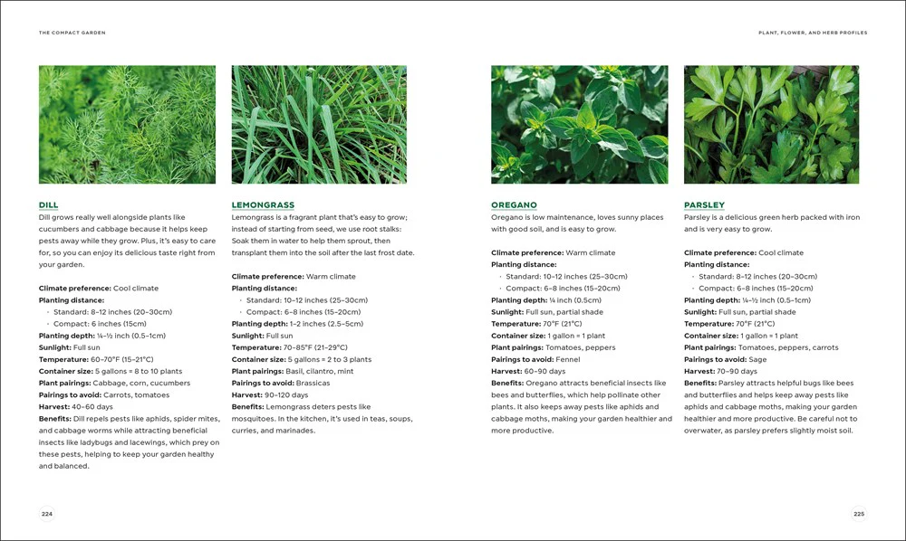 The Compact Garden - Image 4