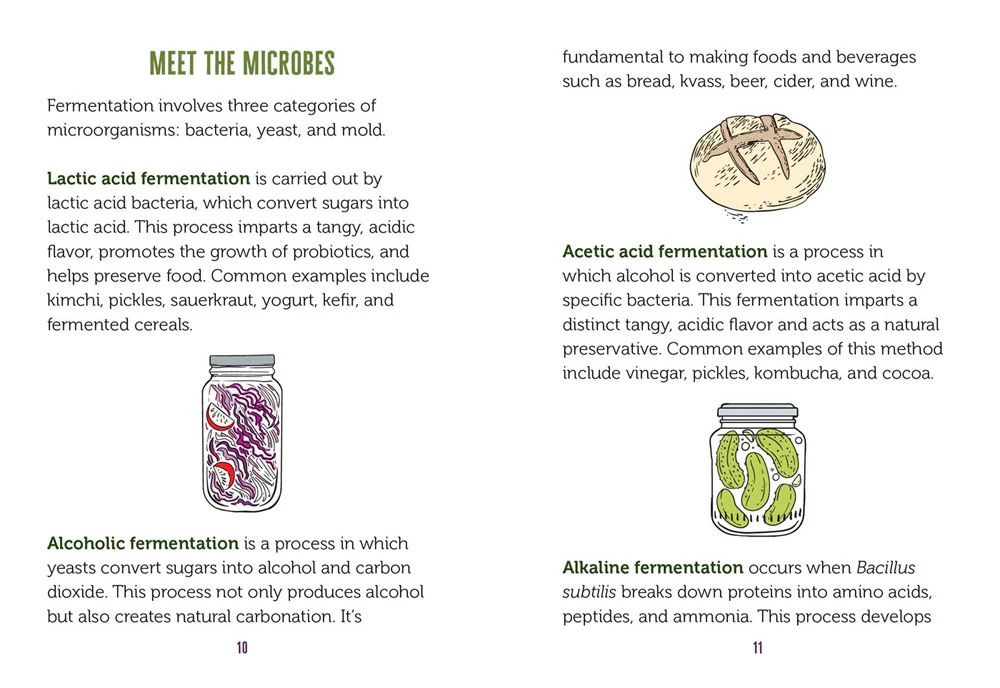The Little Book of Fermented Foods - Image 3