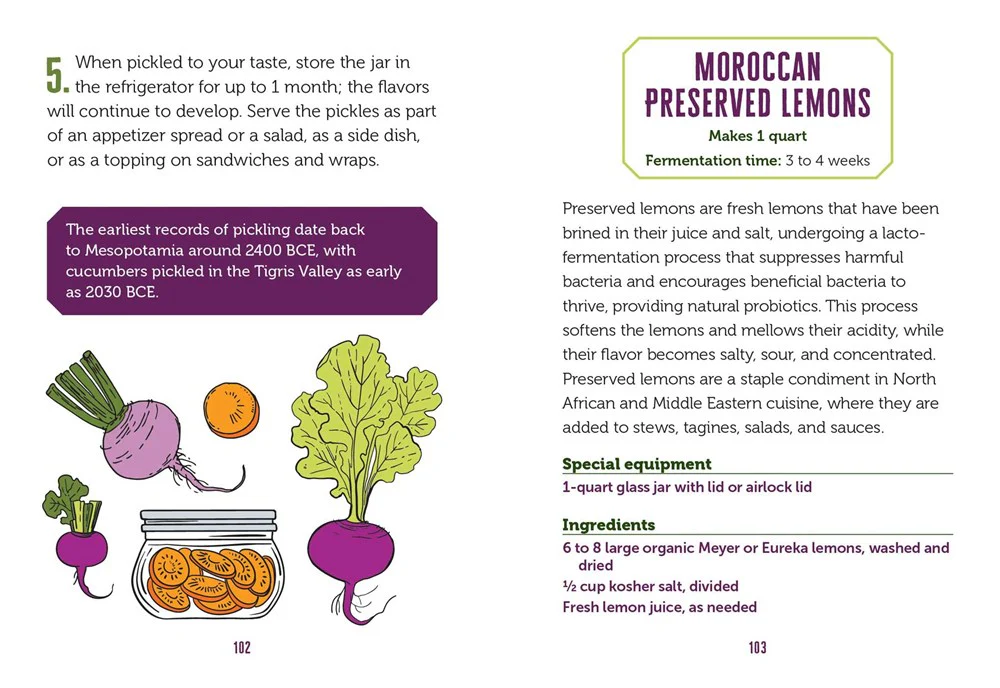 The Little Book of Fermented Foods - Image 5