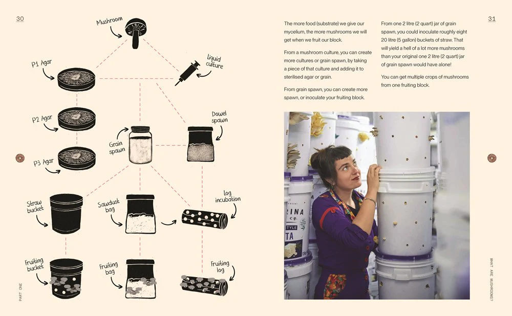 The Mushroomery - Image 2