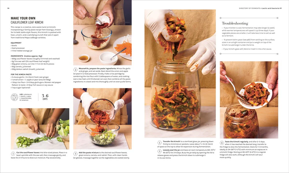 The Science of Fermentation - Image 3