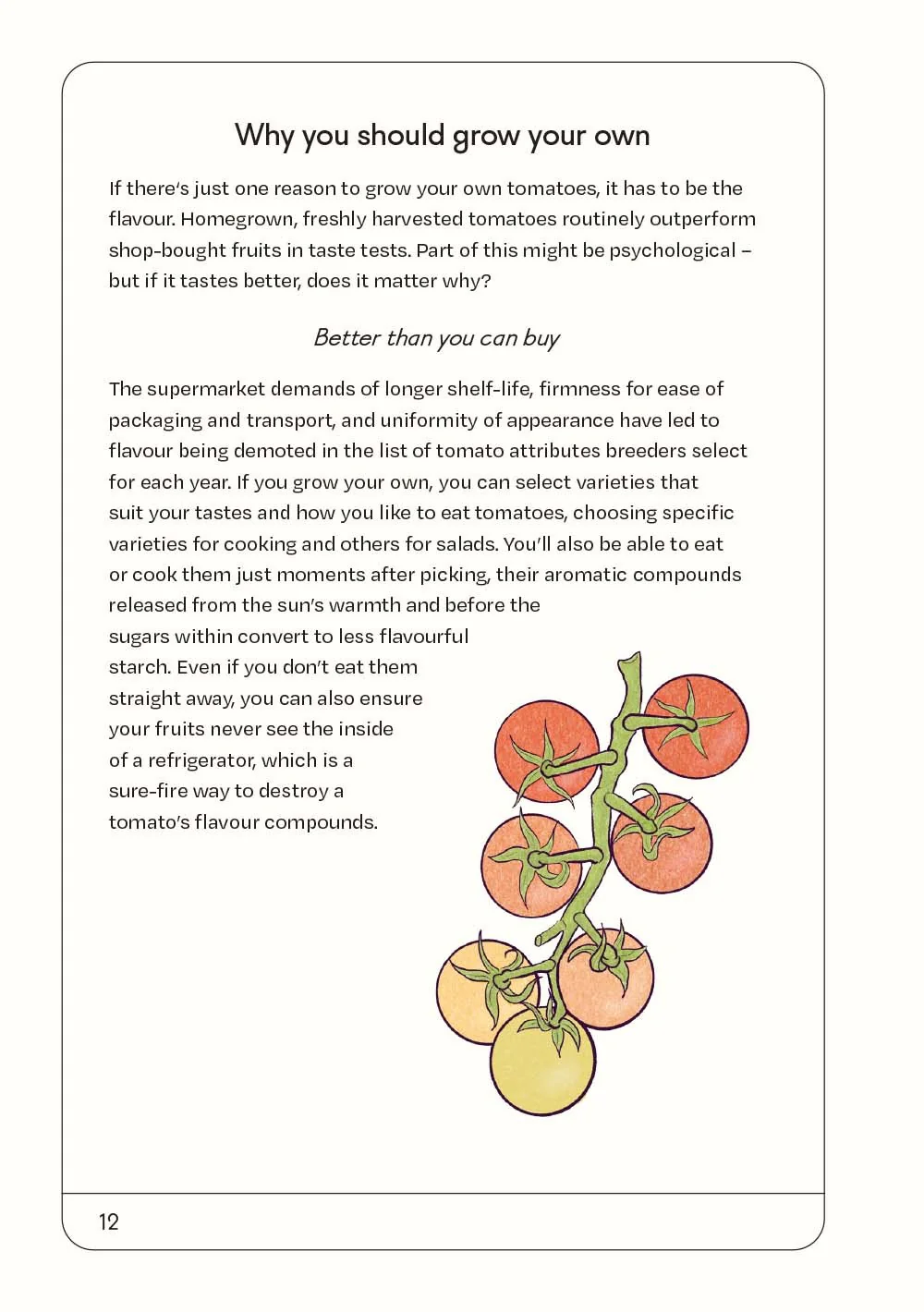 The Tomato Grower's Handbook - Image 2