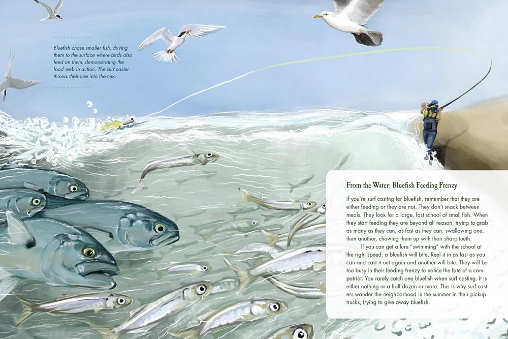 To Catch a Fish - Image 3
